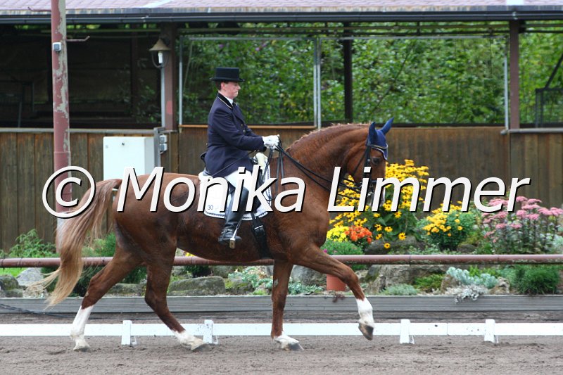 009M7805_Delanza_Dressur M.JPG